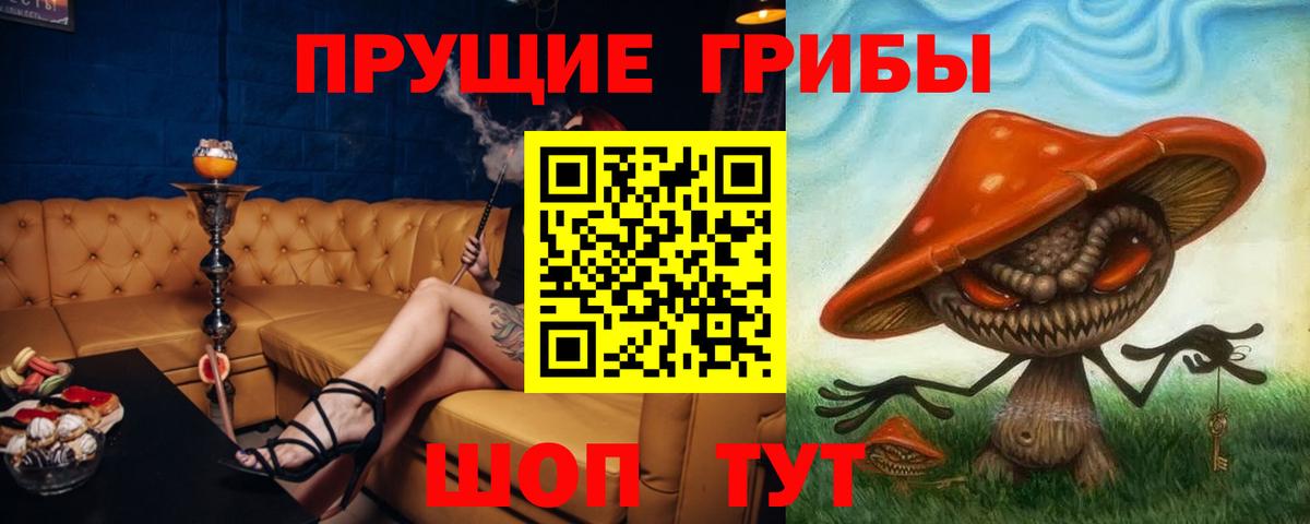 Галлюциногенные грибы MAGIC MUSHROOMS  Вход с VPN  Псилоцибиновые грибы прущие грибы  Дедовск 
